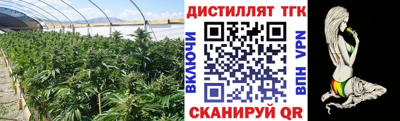 купить закладку  Благовещенск  Дистиллят ТГК THC oil 