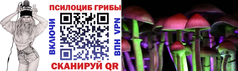 Галлюциногенные грибы Cubensis  купить  сайты  Благовещенск 