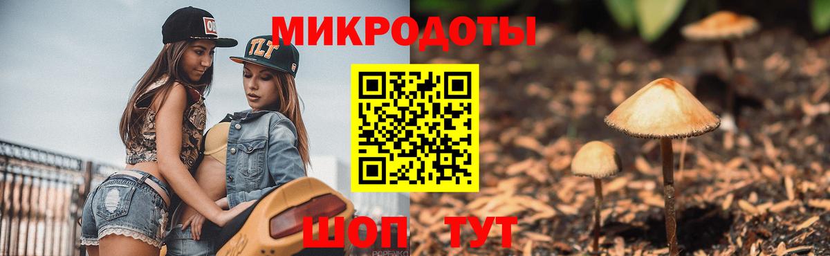 Псилоцибиновые грибы прущие грибы Благовещенск